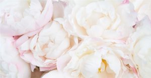 Flower Shop | Dear Delilah Florist | Latrobe Valley